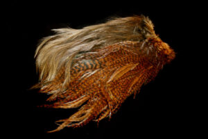 Whiting Coq de Leon Predator Pack Silver grizzly dyed brown/ginger pardo