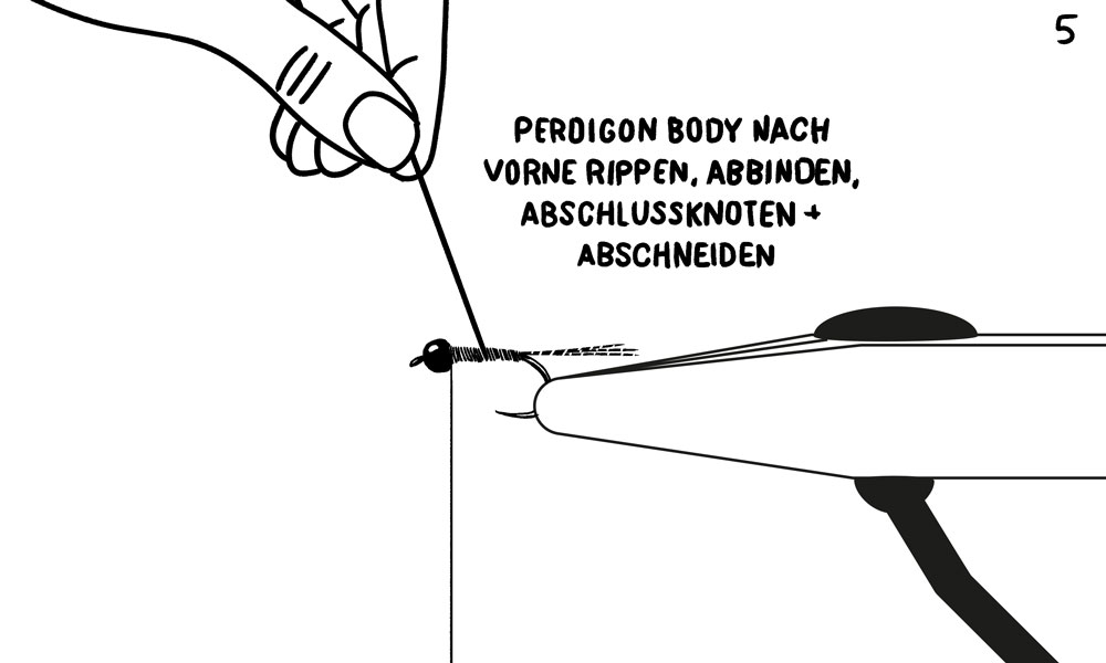 Perdigon 5