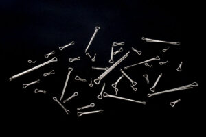Fish-Skull Next Generation Shank (NGS)