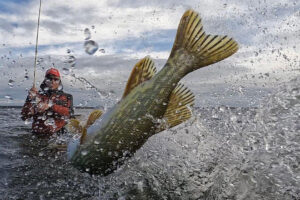 Hechtfischen in Rügen