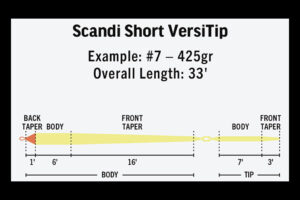 Rio Scandi Short VersiTip Taper