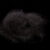 black coal