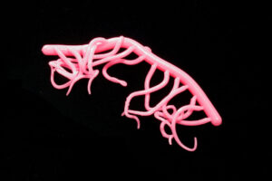Mini Squiggle Worms fluo bubble gum