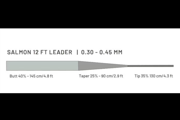 Guideline Salmon 12'