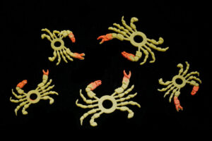 Baked Flies Moeka Crab legs + Claws olive/red